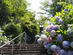 泉州のあじさい寺、長慶寺へ