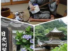 太平山の紫陽花＆日光例幣使街道の宿場町栃木市☆☆