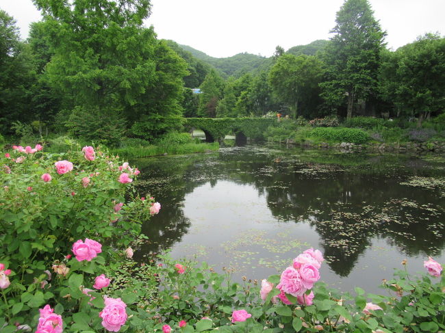 年軽井沢のバラ レイクガーデンとタリアセン 軽井沢 長野県 の旅行記 ブログ By Kukkaさん フォートラベル