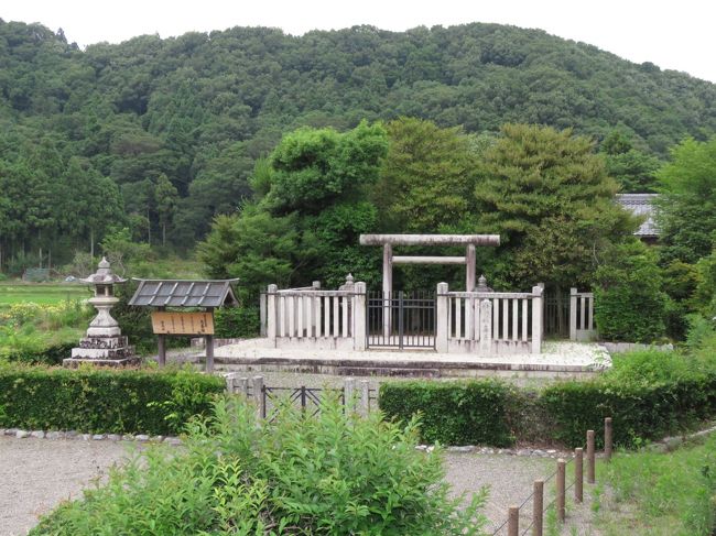 2020.6.24 (水) 滋賀県陵墓探索です. 最高温度31.7℃/最低温度21.2℃ 晴れ 滋賀県は車と徒歩でAM5:54から探索<br /><br />・履中天皇皇子 磐坂市辺押磐皇子墓<br />・敏達天皇皇后 広姫 息長陵+附属地*<br />・淳仁天皇陵 菅浦伝承地(治定外)<br />・安曇陵墓参考地<br />・ 倍塚・い<br />・ 倍塚・ろ<br />・ 倍塚・は<br />・ 域内倍塚*<br />・後西天皇皇子 永悟親王墓*<br />・後水尾天皇皇子 道寛親王墓*<br /><br />★午前中に終わったので京都市伏見区醍醐の陵墓も回りました。<br />----------------------------------------------------------------<br />https://4travel.jp/travelogue/11630453(6/24 午前の部 滋賀県)<br />https://4travel.jp/travelogue/11630597 (6/24 午後の部 京都/醍醐)<br />