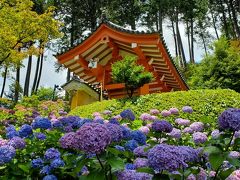 梅雨の晴れ間に、“花の寺”「三室戸寺」と「伏見稲荷大社」