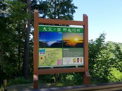 コアジサイ（小紫陽花）を求めて  !  野迫川村