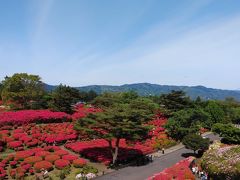 小室山公園のツツジ