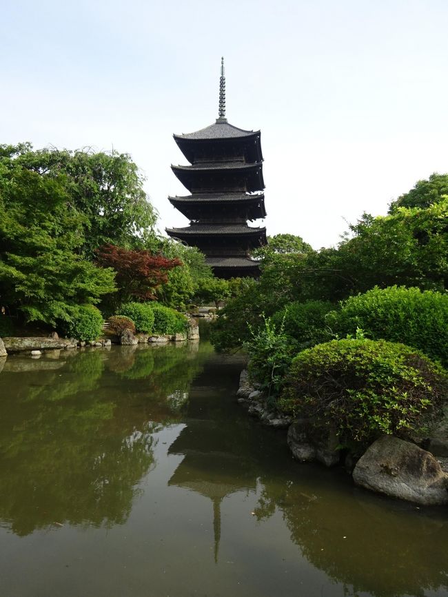 古都京都の文化財（７清水寺、８銀閣寺、９下鴨神社、10上賀茂神社、11西本願寺、12東寺）2020.6.9