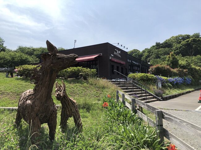 久しぶりに母を誘ってお出掛け♪<br /><br />しばらく外出を控えて鬱々と過ごしていた母を誘ってドライブ!<br />でもこの時期は<br />県を跨いだ移動はまだ出来なかったので<br />どこへ行こうか考えました<br /><br />江ノ島方面は人が多そうだし・・<br />出来るだけ安全なとこは・・<br /><br />この間行った真鶴にしよか、<br />結局海鮮も食べられなかったし、リベンジしよう!<br /><br />マスク&除菌ジェル&除菌ウェットティッシュ<br />しっかり感染対策して出発です=3=3<br />