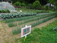 ６月：北上農楽校の活動状況