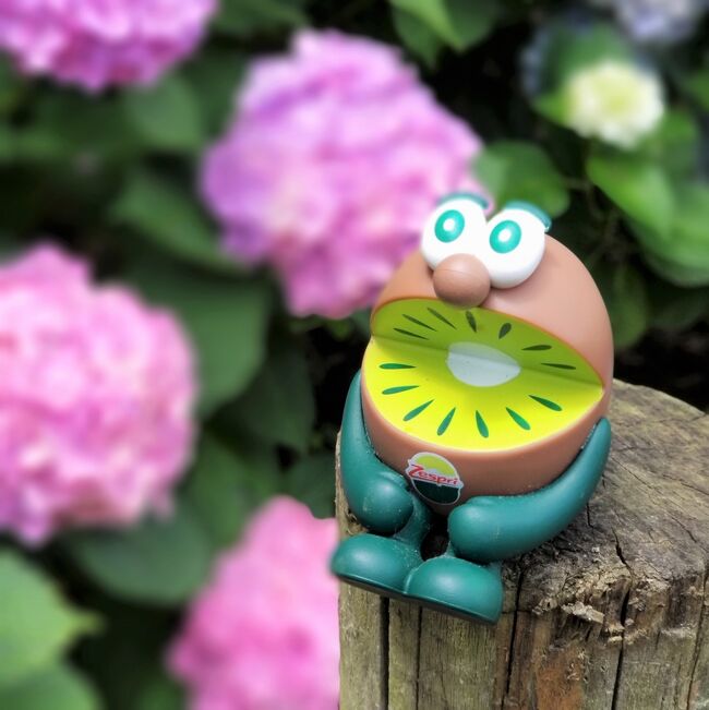 季節の花あじさいが見ごろを迎えた「玉敷公園」へ。<br /><br />私たち姉妹に加え今日はキウイが一緒です。<br /><br />今までキャラクターをモデルにした撮影はしたことがなかったので初めての試み。<br />発案者はキウイの持ち主でもある妹でした。<br /><br /><br />
