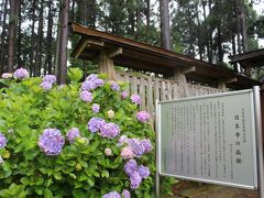 あじさいが美しい多古町の日本寺へ行って来ました♪