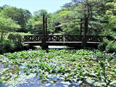 先週に続いて六甲山地へ、六甲高山植物園～六甲ガーデンテラスの花々を鑑賞します！