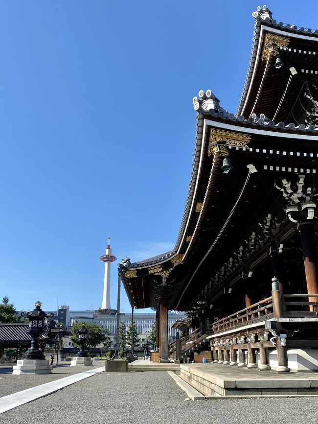 京都旅行の後の6月22日～25日の出張中に行ったとこ食べたとこの備忘録です。<br />やっぱり京都いいなぁ、と感じます。