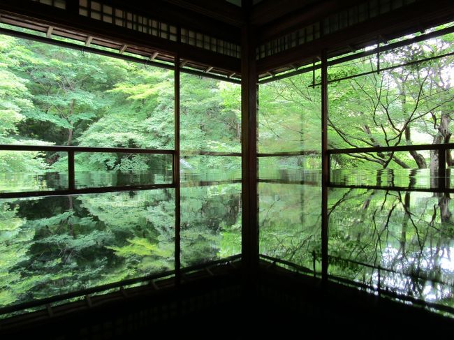 県外移動の自粛が解除され、約10年ぶりに京都に行って来ました。<br />青紅葉をみてきました。梅雨ですが雨に降られずに散策できました。<br />梅雨時期のお寺は緑が深くて素敵でした。<br /><br />こちらの旅行記は〇の箇所になります。<br />〇2020年6月27日  三千院門跡・実光院・宝泉院・寂光院<br />　　　　　　　　瑠璃光院　<br />　2020年6月28日  今熊野観音寺・勝林寺・天得院<br />宿泊ホテル:三井ガーデンホテル京都四条<br />