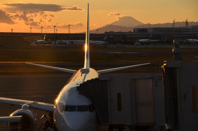 旅の終わりに　空港で最後の思い出になる風景見せてくれました。明日からがんばろ～