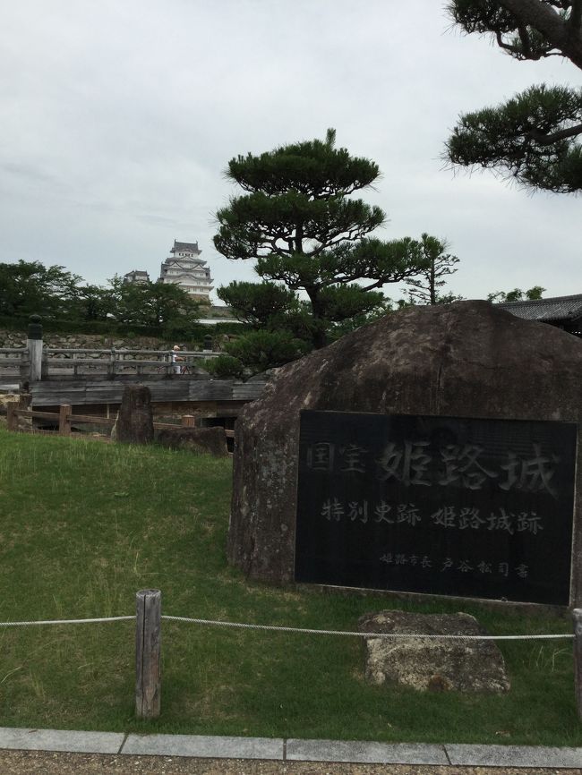 外国人観光客がいない今でしょう!