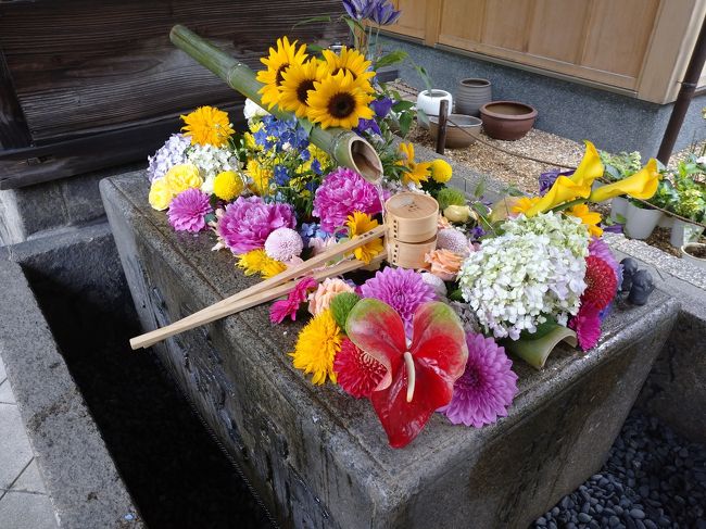県外移動の自粛が解除され、約10年ぶりに京都に行って来ました。<br />2日目はお花を中心に見てきました。<br />旅行の後半はスイーツも食べてきました。<br /><br />こちらの旅行記は〇の箇所になります。<br />　2020年6月27日 三千院門跡・実光院・宝泉院・寂光院<br />　　　　　　　　瑠璃光院　<br />〇2020年6月28日 今熊野観音寺・勝林寺・天得院<br />  宿泊ホテル:三井ガーデンホテル京都四条