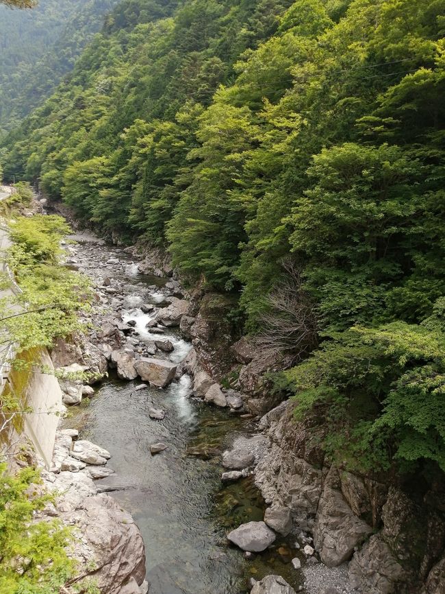 新型コロナウィルスによる自粛解除にあたり,近場の温泉へ一泊旅行しました.約40年前に中学生の頃に林間学校で訪れた洞川を懐かしむ旅行となりました.残念ながら,まだ蛍は鑑賞できなかったですが,みたらい渓谷まで遊歩道を辿った景観は気持ち良かったです.今でもエメラルドグリーンが映える清流でした.