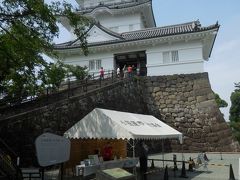 大雄山最乗寺～小田原城跡公園　神奈川県内で面白い場所を探します。