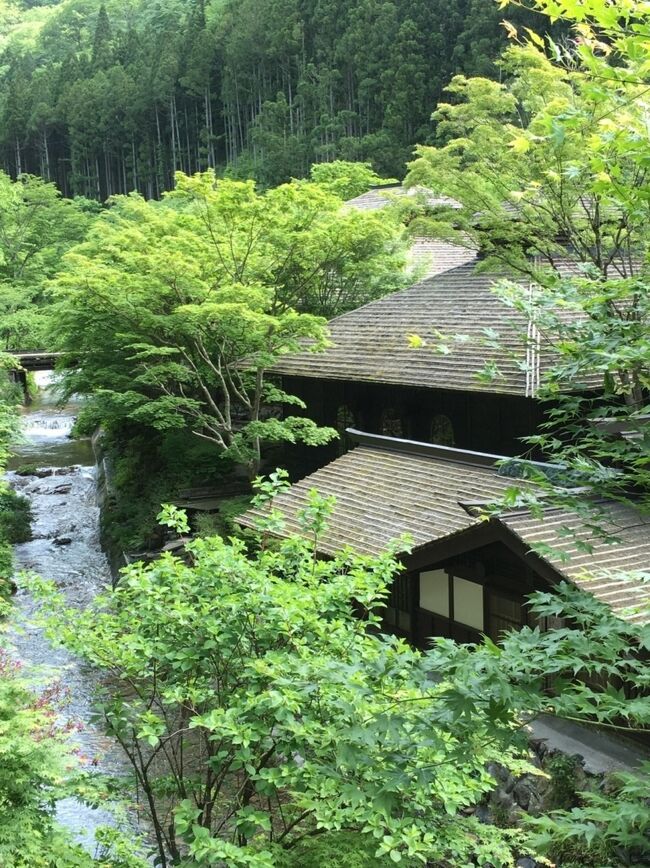 コロナでどこにも行けず、連休も持て余しているので、3年前の新緑に癒された秘湯一軒宿の旅行記をupします。（2020年7月記）<br />現在このお宿のホームページでは、群馬県内からの宿泊を推奨している感じです。まだまだ先が見えない状況ですが、また行けるようになったらぜひ訪れたい宿の1つです。