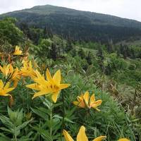 秋田の山旅３　森吉山