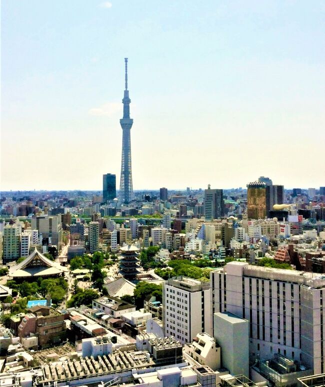 いつも、旅に笑顔で送り出してくれる主人。<br />感謝の誕生日プレゼントの東京の旅日記です。<br /><br />仙台のプライスコレクションにも出かけた若冲ファンの主人に<br />東京都美術館の若冲展はぴったりと思えたのですが<br />連日3時間以上の待ち時間が問題…。<br />朝食のスカイビュッフェ武蔵で家族会議です(笑)<br /><br />2016年の主な旅<br />1月～4月　奥志賀と白馬八方尾根の家族スキー8回。<br />1月与論島＆那覇の親子旅4泊5日。<br />5月オーシャニアリビエラエーゲ海クルーズ親子旅13日。<br />8月スイス周遊10日間一人旅。<br />11月カナリア諸島クルーズ19日間。<br />息子宅の東京滞在も含めると、約70日(--×)<br />平和だった世界と家族に感謝&lt;(_ _)&gt;<br /><br />表紙写真は<br />浅草ビューホテルからのスカイツリーです。<br />浅草浅草寺とアサヒビールの炎のモニュメントもみえています。