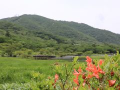 自粛明けの山行～見ごろを過ぎたレンゲツツジを探して地蔵岳