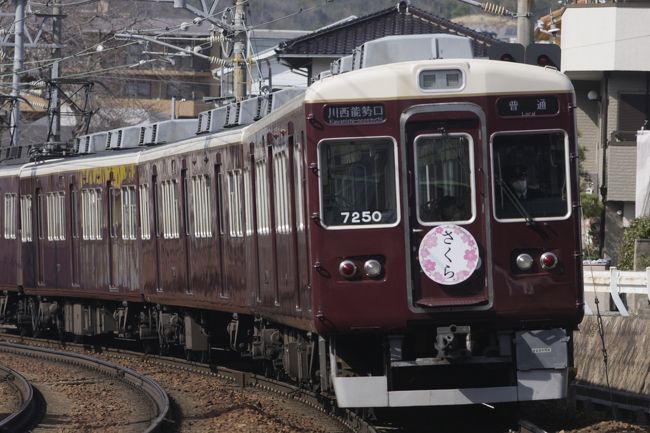 500系こだまでの能勢電鉄を中心とした撮影