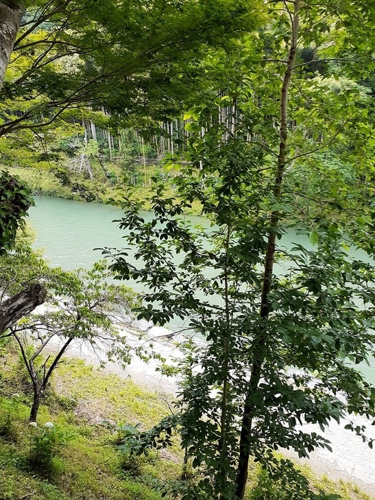 これから向かう愛南町の霊場第４０番観自在寺。車にはナビが付いているので、そのナビ通りに向かえばよいのだが、設定の仕方が悪かったのか、どこでどう間違ったかは不明だが、向かっている方角が最南の海の方向ではなく、山の方向に向かっている。お寺の名前を間違えてインプットしたのかも知れない。一旦バイパスを下りると近くに道の駅がある。朝早く起き、先刻お昼も食べて、血流が胃腸の方に集まっているのかも知れない。運転中に眠くなってきた。丁度良い、この道の駅で一休みし、コーヒーで眠気を覚まそう。時間はまだ十分ある。<br /><br />道の駅は「内子」と出ている。内子の先には明日行く予定の霊場が２ケ寺ある。間違ってそちらのお寺をインプットしたのかも知れない。取り敢えずここで一休みしよう。道の駅「内子」は先刻の「三間」と比べたら随分賑やかで、沢山の客が集まってきている。道の駅の中に自然遊歩道のようなテーマパークがあり、今日の日曜日、小さな子供連れが集まってきているのかも知れない。今までＳｔａｙ　Ｈｏｍｅの一本やり、昨日から県境移動解禁になって、自粛疲れのファミリーが県をまたいでやってきているのかも知れない。これが元々の本来の日本の姿なのだ。<br /><br />駅は大きな清流の崖上にある。見晴らしの良いテラスの関を選び、眼下を流れる清流の水音を聞きながらコーヒーを飲む。林の中から名前の知らない小鳥のさえずりも聞こえてくる。清流から上がってくるフィトンチットを沢山含んだ清い空気を吸い、川の音と小鳥のさえずり。コーヒーが美味しい。先刻の御飯もそうだったが、自然の空気の中で食べるもの、飲むもの、そのすべてが美味しく感じられるのか・・。愛媛にやってきてまだ数時間。この空気と汚れの無い自然の中にいられることだけでも、ここまでやってきた価値はある。東京、八王子、高尾などでは得られない貴重なものだ。