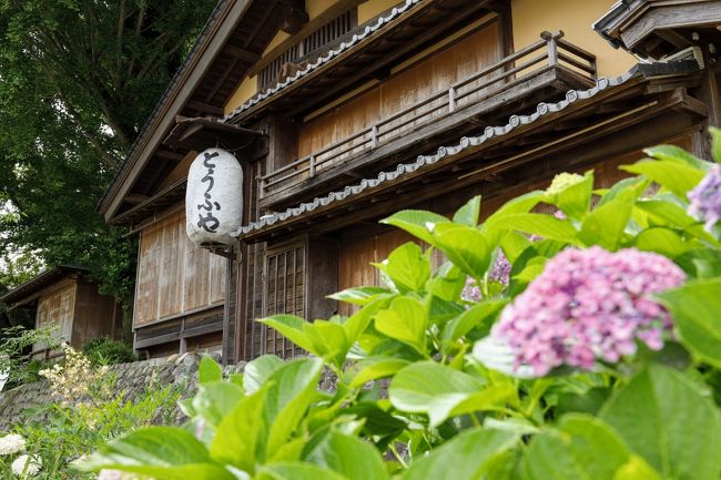 県外移動が解除されてからすぐの6/21日~2泊3日で伊勢方面へ行ってきました。三重県が首都圏からの受け入れをしていなかったのでいつかいつかと毎日HPを見ていたので念願の旅行です。こうやって県外移動できる事がこんなにありがたいとは思っていませんでした。お陰様お陰様。たくさんお礼をいってきた旅です。<br />内宮編・宿編・外宮~鳥羽水族館編・奥三河編の4部作の予定です。お付き合い頂けると幸いです。<br /><br />フォートラベルで初めての旅行記なので何か失礼あったらごめんなさい。みなさんよろしくお願いします。