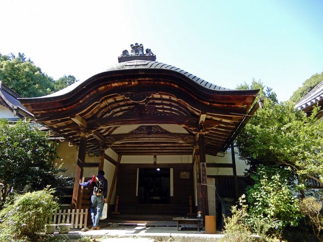 大津市の法明院にアーネスト・フェノロサのお墓があります。何故そこにあるのか、その謎を紐解く大津まちあるきの旅でした。<br /> 歴史の授業で、フェノロサや岡倉天心の名は目にした事がありますが、このビゲローについては、知る由もありませんでした。2018年10月21日(日)の「大津まちあるき」ツアー、「近くだし、日曜日だし、まだ行った事がないし。」という事で参加致しました。中々にハードで 面白いツアーでした。<br />