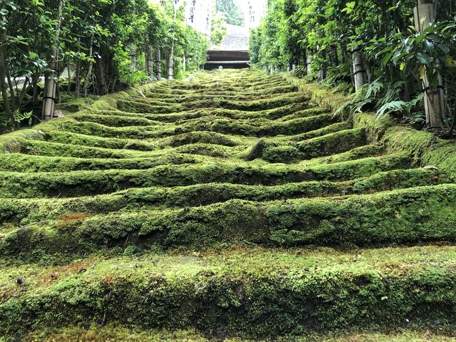 鎌倉さんぽ（二階堂から浄明寺）