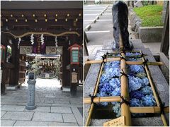 「夏越大祓」護王神社で茅の輪くぐりと花手水＜いのちの和＞