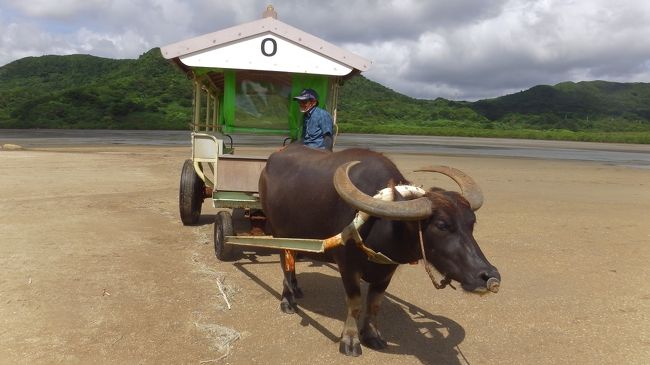 原チャリを借りて由布島へ向かいました。<br />引き潮の時間なので海を渡る牛車のイメージ都はかなり遠いですが約30分近くかけて島へ渡ることが来ます。<br />まだシーズンが始まっていないので乗客は私ともう一人だけでした。<br />島でウェルカムドリンクを貰ってからグル~と島を回りました。周囲2.5㎞の島なのでゆっくり歩いてもそんなに時間はかかりません。<br />展示施設もいくつかありますがう~んという感じです。<br />2時間ほどの滞在で原チャリで一路南風見田の浜へ向かいました。<br />ここは西表島東回りの道の終点の浜です。<br />シュノーケリングをしようとしましたがかなり潮の流れが強くて沖に向かってなかなか進めず疲れてドロップオフへなどへは行けそうになく諦めました。<br />適当にまったりしてから満潮時の由布島を見て宿へ帰りました。