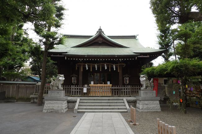 　横浜市南区日枝町に鎮座する日枝神社は、寛文13年（1673年）に、当地周辺の吉田新田を開拓した吉田勘兵衛良信が吉田新田村の鎮守社として創建したとされる。明治8年（1875年）村社に列格し、昭和52年（1977年）稲荷神社を合祀したという。お三の宮日枝神社と呼ばれている。祭神は大山咋命、相殿は宇迦之御魂神である。境内社に道祖社、長者稲荷社、堰神社（https://4travel.jp/travelogue/11632241）、庚神社、招魂社がある。<br />　例大祭はお三の宮秋祭りと呼ばれ、横浜随一の大神輿による氏子内御巡行は毎年行われ、本祭り（奇数年毎）には大小40基にも及ぶ町内神輿連合渡御が伊勢佐木町などを練り歩き、市内屈指の規模を誇っている。県立歴史博物館のロビーに展示されている高村光雲作の「火伏の神輿」（https://4travel.jp/travelogue/10542505）もこの時は氏子によって巡行する。<br />　境内参道の両側に七夕飾りがある。彦星や織姫も祀っているのかと聞くと、幼稚園で作ってくれたものだという。七夕神社は福岡県小郡市にあり、また、織姫、彦星や星の神様をまつる星神社が名古屋市西区にあるという。あるいは、栃木県足利市の足利織姫神社は宝永2年（1705年）に機織りを司った天御鉾命(七夕の彦星)と天八千々姫命(織姫)という二柱の神を勧請し、その分霊を祀っているという。かぐや姫（木花之佐久夜毘売（このはなのさくやびめ））を祀る浅間神社は全国にあるのに対し、七夕や織姫、彦星を祀った神社は数えるほど少ないようだ。このように、横浜市では名の通ったお三の宮日枝神社で七夕飾りを飾ることはとても良いことだ。100年も経てば祭神に織姫や彦星が加えられることにもなろう。<br />（表紙写真は日枝神社拝殿）