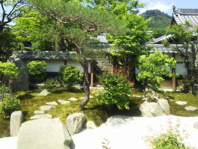 普段は非公開の里坊庭園ですが、特別公開時に楽しみに訪れました。