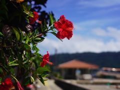 八重山諸島・周遊の旅　２（船浮集落とイダの浜）