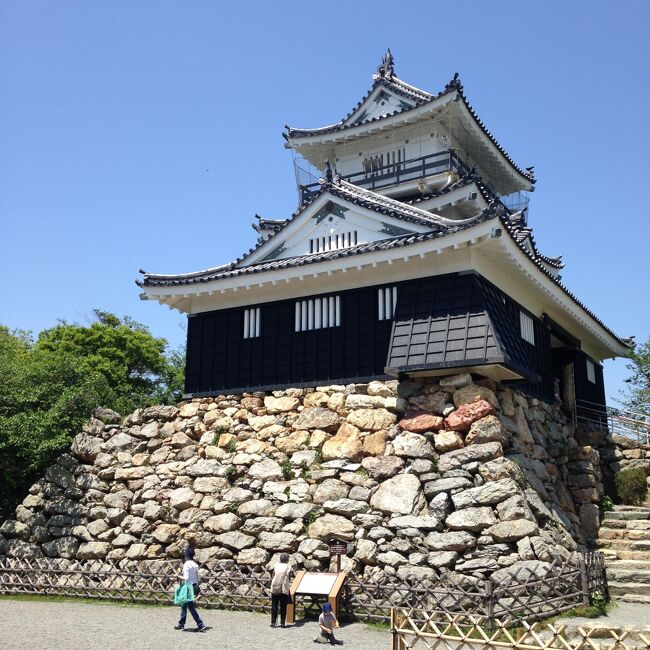 お城が好きで、これまでたくさん行きました。<br />どれくらい行っているのか改めて確認したいと思い、旅行記にまとめてみました。<br /><br />ちなみに、私がお城をめぐるのは<br />お城の雰囲気が好きなのと、高いところに登りたいから(笑)<br /><br />残念ながらお城の歴史はあまり興味が無くて、<br />こんなにお城に行っているのに勉強をしないのは勿体ないと自分でも思います。<br /><br />※静岡県民なので、東海地方のお城が多めです。<br />※2020/8/13時点で47のお城に行ったようです