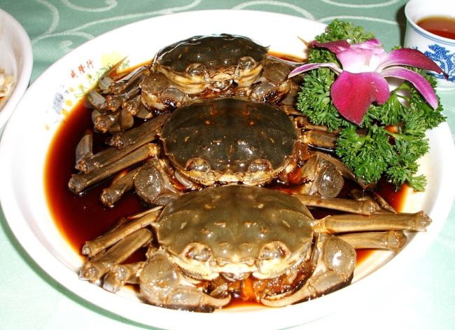 前回アップした上海旅行記は2004年12月のものだった。昔の画像を見ると、それから約1年後の2006年1月に、別のクライアントをほぼ同じコースでアテンドしていた。その間に上海は5回行っており、その都度さまざまな所を回っている。上海にもかなり精通したはずなのに、無意識に組んだ予定が、ここまで同じになっていたとは自分でも驚いた。という訳で前回とコースはほぼ変わらないが、写真の精度は上がっているので、ご覧いただければ幸いである。