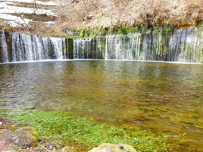 今回の草津温泉行きは　ず～っと前から計画してたものでした。<br />娘の旦那様は社会人になってからず～と群馬勤務。<br />結婚した後も大阪と群馬で離れ離れの生活。<br />その彼が今年の4月でやっと転勤になるかもしれない。<br /> <br />彼が群馬にいる間に群馬の草津温泉に行ってみたい。<br /> <br />ちょうど　パパのお仕事の総会が東京であるので　その帰りに草津温泉に行こう<br />という話になったんです。<br /> <br />それが　このコロナ騒動で　全国会議がどうなるのかと心配でしたが<br />規模を縮小して実施することになりました。