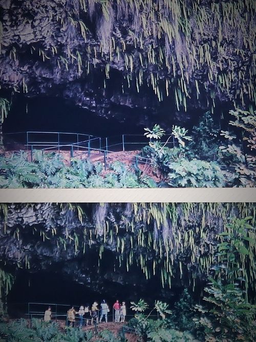 カウアイ島-1 1995/7 庭園の島 ワイルア川～シダの洞窟 ☆Hyatt