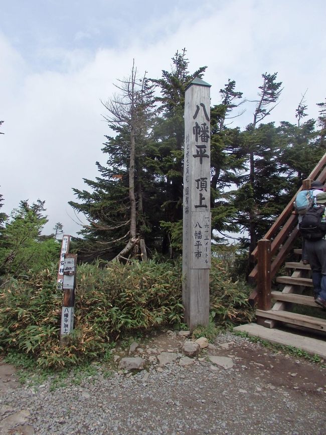 　　山歩き 岩手県八幡平市　八幡平　標高1613M(標高差50M弱)　＋焼走り溶岩流　　八幡平全行程2時間39分　　八幡平山頂レストハウス～（26分）八幡平山頂（29分）～（1時間7分）黒谷地湿原休憩デッキ(15分)～（22分)黒谷地駐車場<br />「日時」2019年6月24日　曇り<br />「アクセス」盛岡駅前のホテルに前泊する。盛岡駅よりレンタカーで八幡平山頂レストハウスに向かう（所要1時間45分）<br />