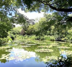 北川村［モネの庭］マルモッタン★