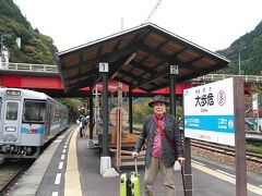 鳴門からローカル線で大歩危。大歩危峡観光、祖谷のかずら橋、