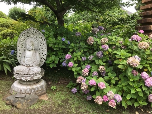 埼玉・岩槻にあるパン工場に併設されている直売所に行ってきました。<br />周辺にあるあじさいのきれいなお寺や睡蓮のきれいな城址公園にも寄りました。<br /><br />■①伊藤パンの工場と武蔵第六天神社<br />伊藤パンの工場併設の直売所はお買い得なパンがそろっていました。<br />近くにある武蔵第六天神社では茅の輪くぐりをしてきました。<br /><br />■②法華寺のアジサイと城址公園の睡蓮<br />アジサイの咲く法華寺にお参りして、城址公園では花菖蒲や睡蓮を見ました。