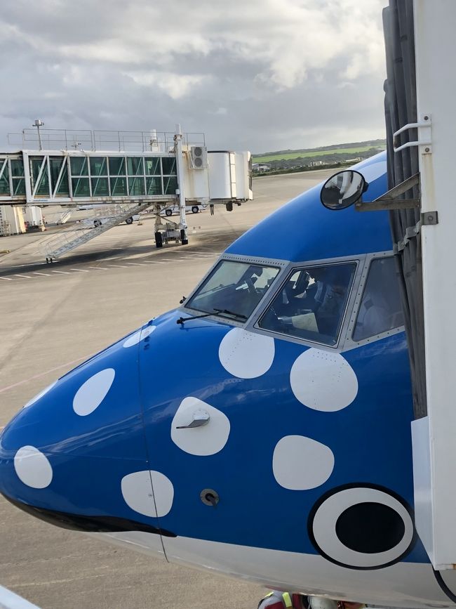 2019JGC修行の備忘録です。 楽しかった思い出も薄れてきました。旅行記を作る予定なかったので写真少なめ。<br /><br />たまにしか行かない海外旅行。ラウンジ良いな~ 荷物出てくるの早いのね~ 座席前方だと入国審査早いよね~<br />と羨ましく思うも、自分には縁のない世界JGC!と思っていましたが、4月に入りチャレンジする事に。<br /><br />長子が中学生になり、母子ともに未知の世界。年間スケジュールも分からないし、部活もあるし、今年は旅行はムリかな?<br />では、今ある 200,000マイルを元手にJGC入会を目指そうかと。<br /><br />中学生は慣れない環境で頑張ってます。我が家には小学生もいます。みんなも旅行したいよね、飛行機乗りたいよね~<br />と言う事で、子供達には申し訳ないが、内緒で決行する事にしました。<br />夫のフォローが不可欠ですね。感謝です。<br /><br />なので、基本的には<br />・平日日帰り<br />・羽田⇔石垣 メインで行く予定です。<br />・目標:FOP単価 ¥10<br /><br />ちなみに私はフルタイム勤務。早退が頻発するので、職場にも内緒です(汗<br />いろいろとバチが当たりそうです…<br /><br />2月ハワイ家族旅行 4,632 FOP<br />年度ボーナス 5,000 FOP<br /><br />合計 9,632 FOP を持ってのスタートです。<br />どこまでバレずに達成できるでしょうか?<br />★1回戦<br />①レグ 4/17羽田→那覇 15:00-17:40 特割 J ¥13,910<br />②レグ 4/17那覇→羽田 18:35-20:55 特割 J ¥26,210<br /> ¥40,120 4,144FOP 単価¥9.68<br /><br />★2回戦<br />週末なので羽田⇔那覇2往復。<br />③レグ 4/21羽田→那覇 7:40-10:25 先得 J ¥17,110 1,672FOP<br />④レグ 4/21那覇→羽田 11:25-13:45 特割 J ¥26,910 2,072FOP<br />⑤レグ 4/21羽田→那覇 15:00-17:40 特割 J ¥13,910 2,072FOP<br /> ちょっと居酒屋へ。<br />⑥レグ 4/21那覇→羽田 20:40-23:00 先得 エコ ¥16,110 1,476FOP<br /> ¥64,040 7,292FOP 単価¥8.78<br /><br />★3回戦<br />やっと、石垣線を購入できました。ちょっと高かったけど・・・まぁ有り。<br />⑦レグ 4/24羽田→石垣 14:15-17:25 特割 J ¥24,490<br />⑧レグ 4/24石垣→羽田 19:15-22:00 特割 J ¥26,990<br /> ¥51,480 4,960FOP 単価¥10.38<br /><br />★4回戦、出発します。 ←今ここ<br />2回目の石垣線。サクッと行って来ます。<br /><br />⑨レグ 5/15羽田→石垣 14:15-17:20 特割 J ¥21,990 2,480FOP<br />⑩レグ 5/15石垣→羽田 19:10-22:00 特割 エコ ¥25,990 2,236FOP<br /> ¥47,980 4,716FOP 単価¥10.17<br /><br /><br /> 累計 30,744FOP 也 「クリスタル」到達予定!!<br /><br /><br />本日も子供達へは「会社の飲み会だから、先に寝ていてね~」と。合掌。<br />いつも通り、9:00出社→12:00 早退。<br />電車で、羽田空港へ。<br /><br />前回の旅行記との間違い探しの如く、そっくりな旅行記になったけど、仕方ないね~