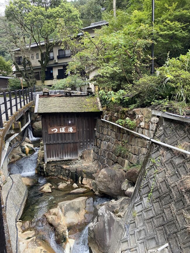 いつか歩いてみたかった和歌山県の熊野古道。<br />全ルートを踏破するにはハードルが高いので、今回は歩きやすい中辺路の一部を2カ所歩いてきました。<br />温泉巡りもしながら、4日間で和歌山南部を満喫の旅。<br /><br />★歩いた古道　<br />・発心門王子～熊野本宮大社<br />・大門坂～熊野那智大社～那智の滝～大門坂<br /><br />★温泉<br />・湯の峰温泉・つぼ湯<br />・勝浦温泉・ホテル浦島<br />・南紀白浜温泉<br /><br />★情報<br />https://www.wakayama-kanko.or.jp/pamphlet/index.html