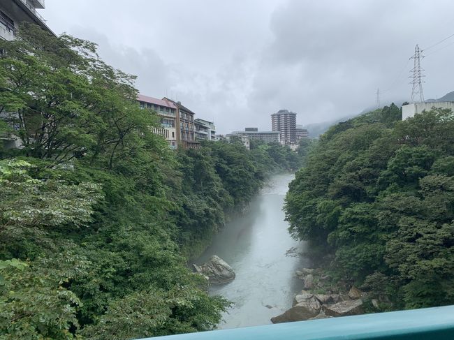 伊東園ホテルズの宿泊割引券をもらったので鬼怒川温泉1泊ひとり旅。鬼怒川を選んだのは、東武鉄道をお得に乗車する方法があるから!以前から行って見たかった東武ワールドスクウェアも、金券ショップで優待券をゲット!<br />飲み放題・食べ放題を堪能。低予算で気軽に温泉旅しました!