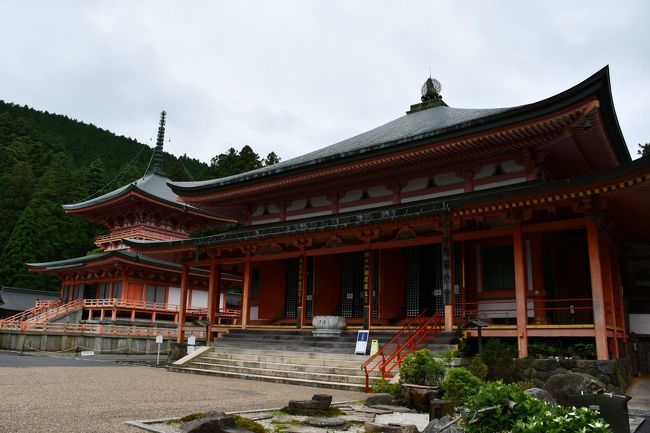 比叡山という山全体が延暦寺の境内と考えることもできるのですが、三つの伽藍に分かれています。そのうち、西塔と東塔は比較的近いのですが、それでも歩いて半時間ほどかかります。延暦寺全体の本堂とも言うべき根本中堂は東塔伽藍にありますが、四年前から修理中です。