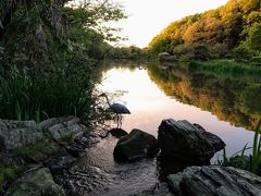 地元散策①  里見公園とじゅん菜池