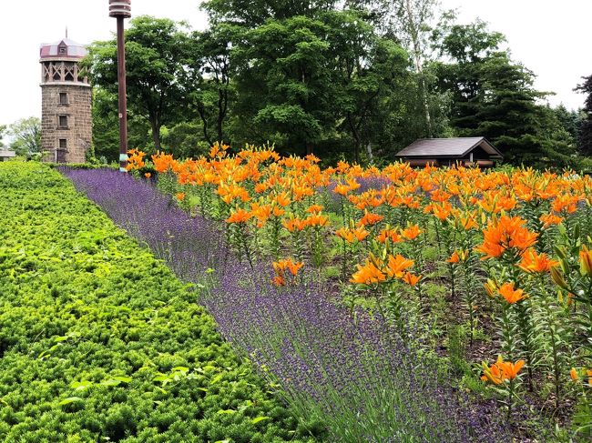 2020.7 【祝・旅行記500冊記念】自粛解除後初のお出かけは、ユリが咲き乱れる「百合が原公園」