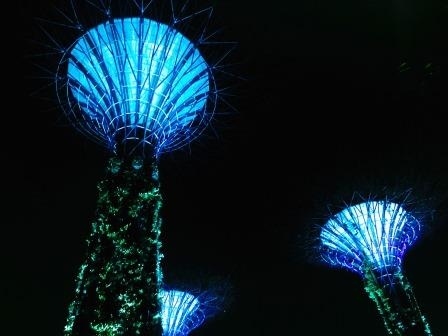 シンガポールに行かれたS.Yさんからのご投稿です。シンガポール旅行を計画されている方はぜひご覧下さい。