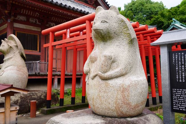 珈琲屋さんから戻って、ボーッと過ごしていたのだけれど、もう雨降らんのかしらねぇ？んじゃ、出かけてみようかな…宿の喫煙所からも見えていた屋島、ちょうどえぇ距離かも。何があるのかは…これから調べながら。とりあえず、瓦町から琴電。琴電屋島からシャトルバスですね。